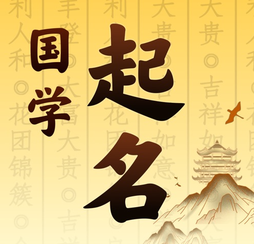 龙安国学起名 人工起名一对一