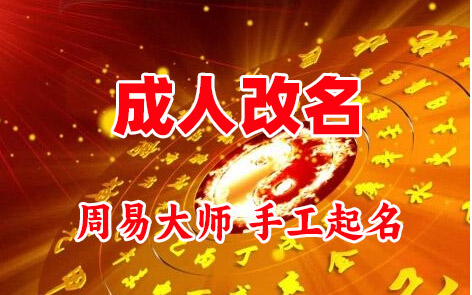 龙安成人改名-找大师一对一改名先分析后改名